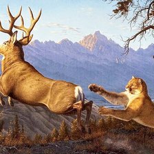 Схема вышивки «№2730783»