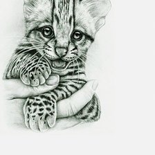 Схема вышивки «№2731185»