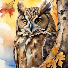 Схема вышивки «Сова»