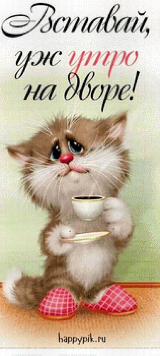 Кот - коь - предпросмотр