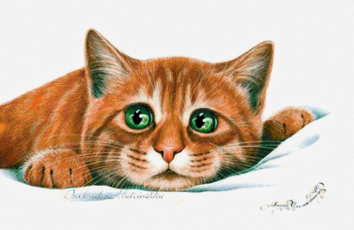 Рыжий кот - рыжий кот - предпросмотр