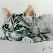 Схема вышивки «Киска»