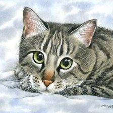 Схема вышивки «Кот»