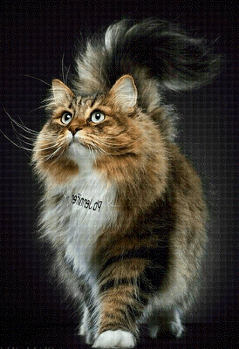 Любимчик1 - любимчик1 - предпросмотр