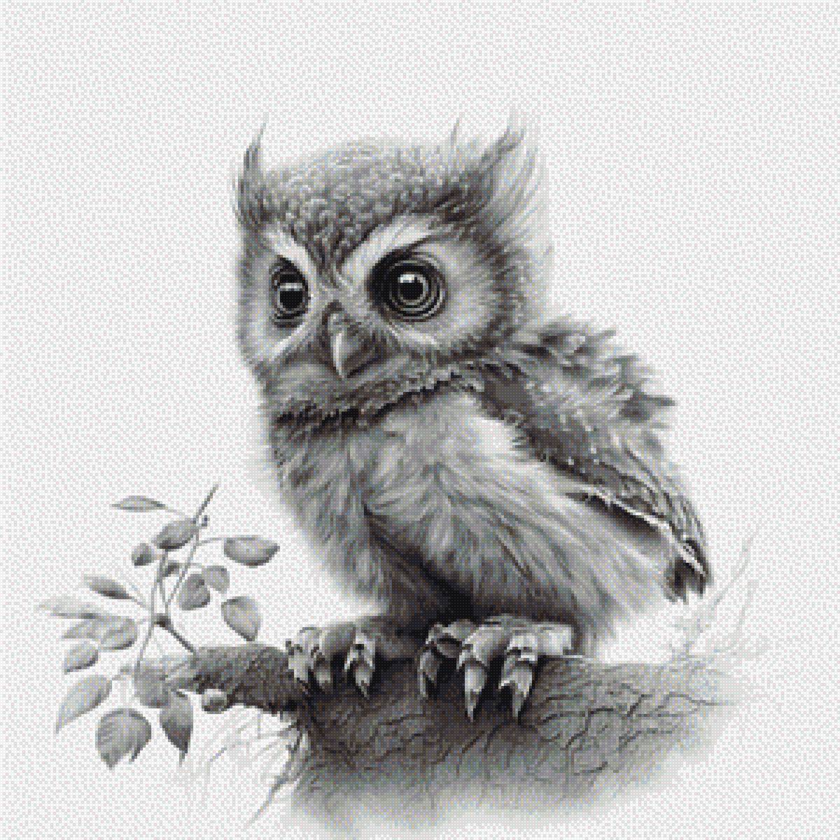 Совенок - птица, сова - предпросмотр