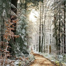 Схема вышивки «Начало зимы»