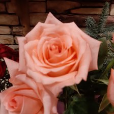 Схема вышивки «Розовые розы»