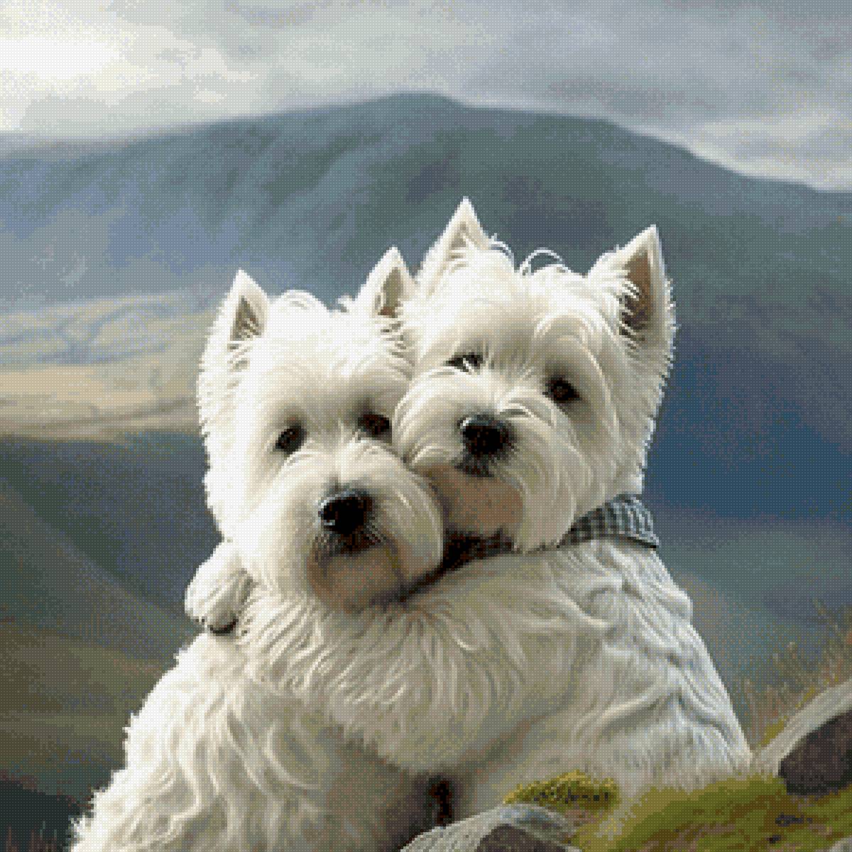 Вестики парочка - предпросмотр