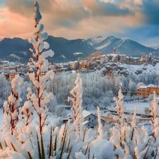 Схема вышивки «№2732810»