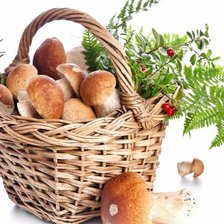 Схема вышивки «Грибы в карзине»