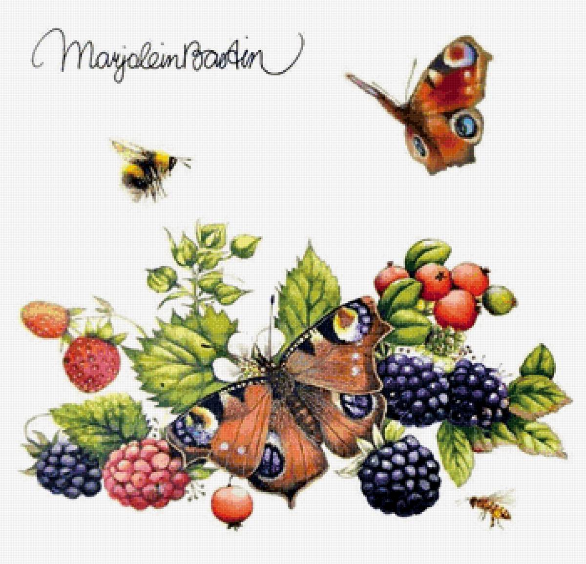 Натюрморт - натюрмот - предпросмотр