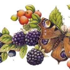 Схема вышивки «Натюрморт»