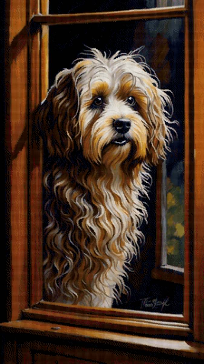 Пустите меня - собака, собаки, животные - предпросмотр