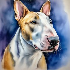 Схема вышивки «Булька»