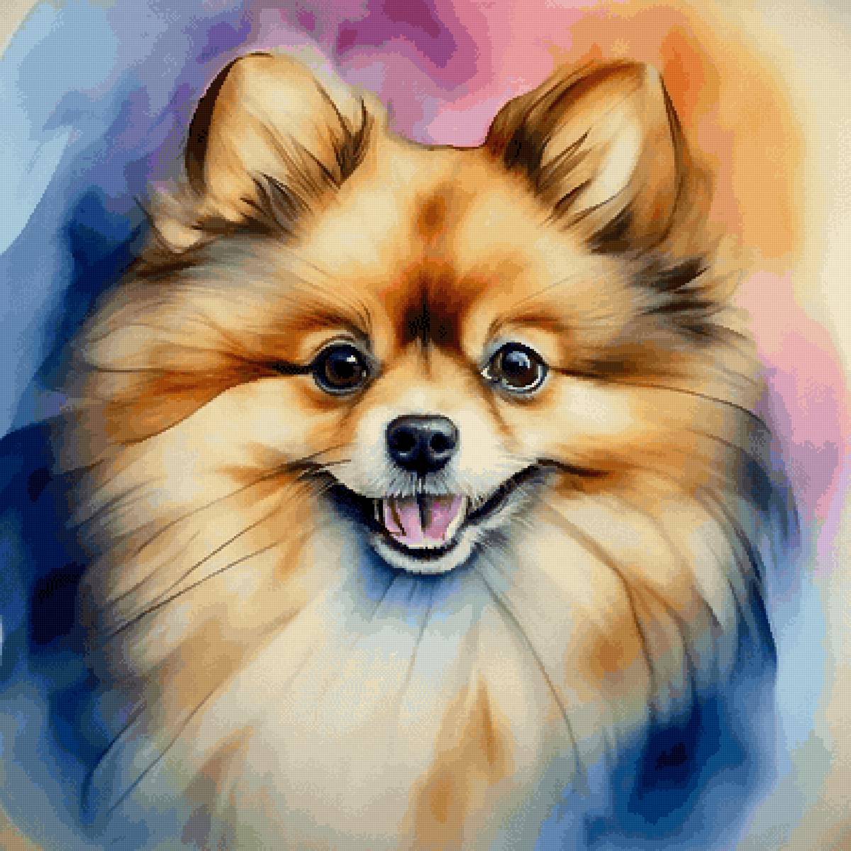 Померанский шпиц - собака, собаки, животные - предпросмотр