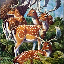 Схема вышивки «№2734400»