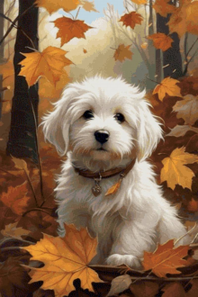 Осеннее настроение - щенок, осень - предпросмотр