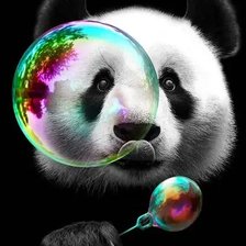 Схема вышивки «панда»