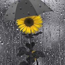 Схема вышивки «Фото2»