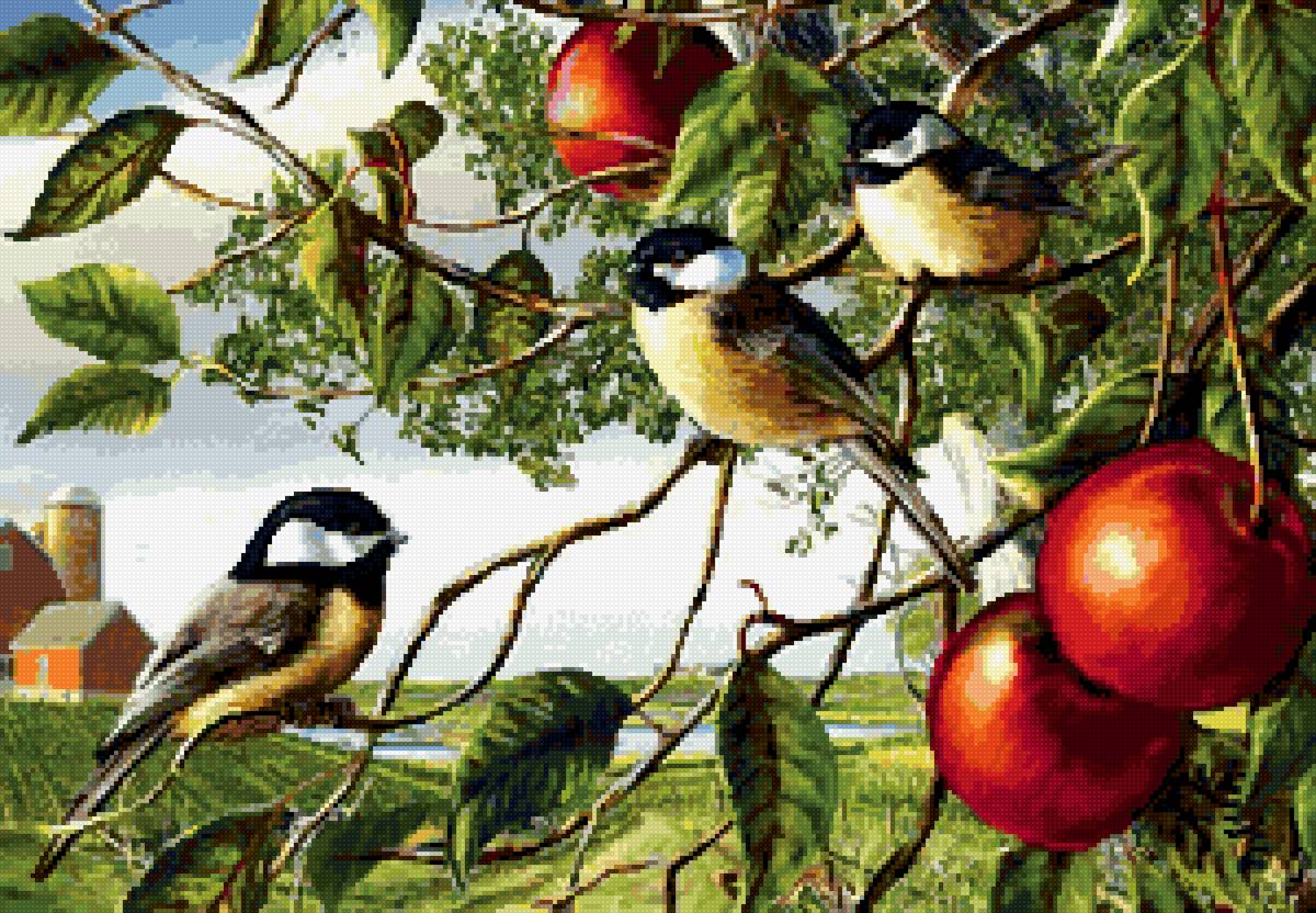 синички на яблони - предпросмотр