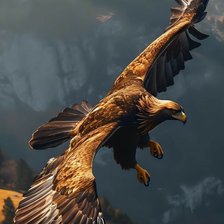 Схема вышивки «Парящий»