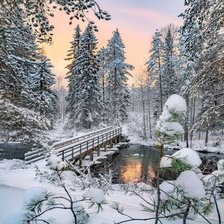 Схема вышивки «№2736666»