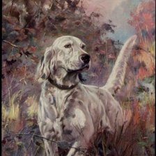 Схема вышивки «Английский сеттер»