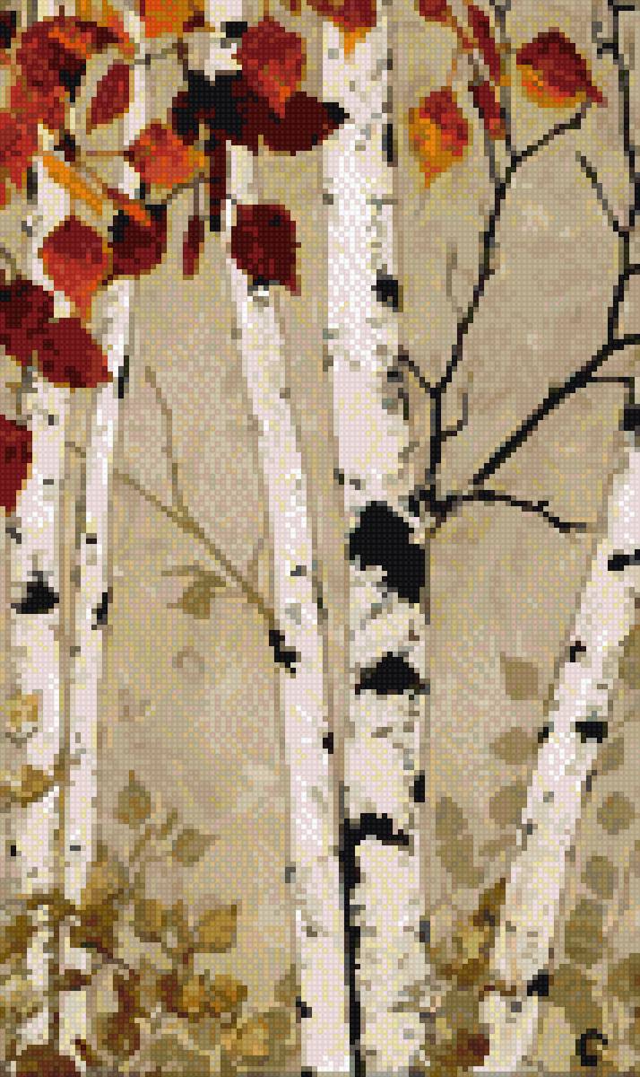 Березы осенью - осень, деревья, береза, природа, пейзаж - предпросмотр