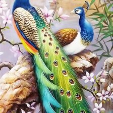 Схема вышивки «№2737867»