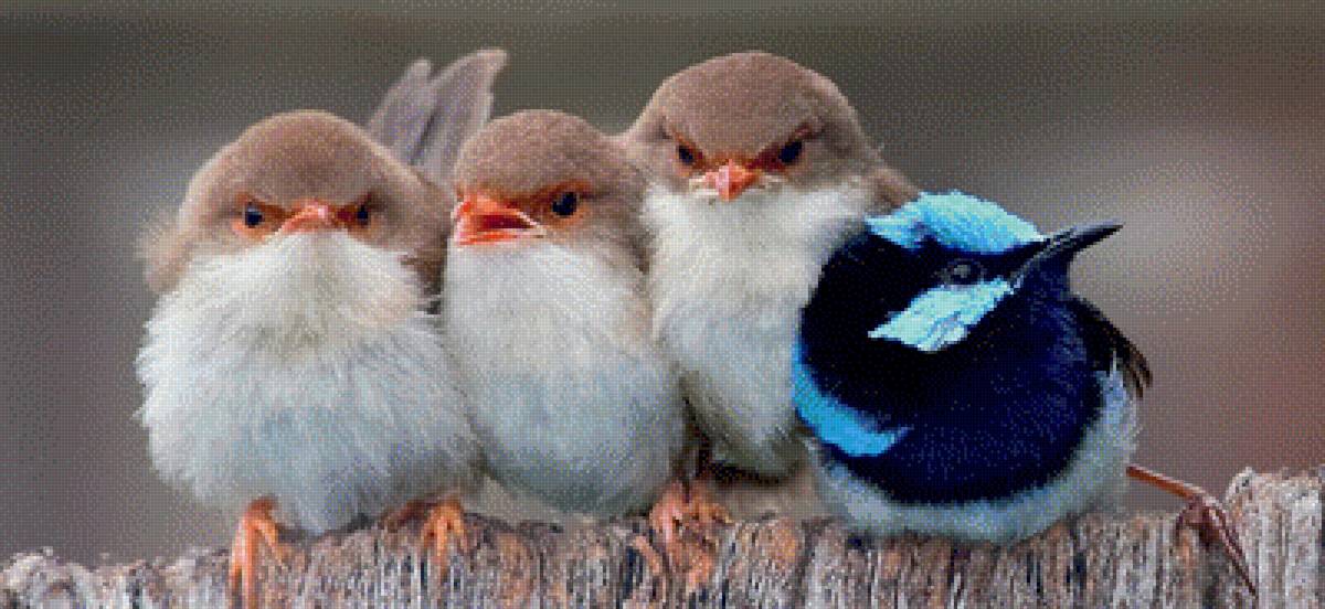 №2738244 - картина. - предпросмотр