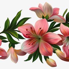 Схема вышивки «Лилии 2»