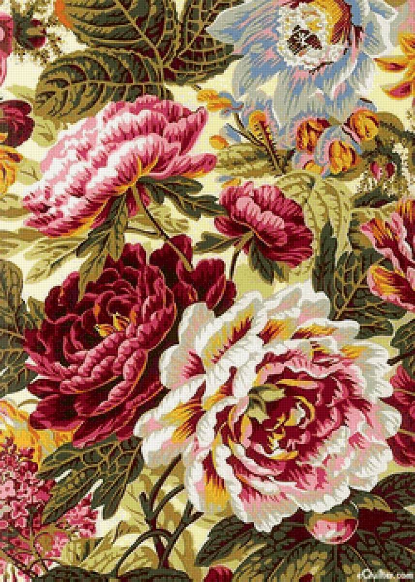 пионы - рисунок - предпросмотр