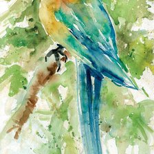 Схема вышивки «Попугай. Акварель»