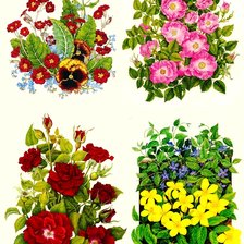 Схема вышивки «цветы»