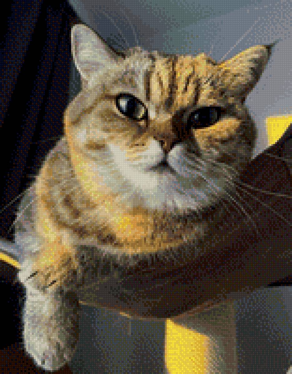 Мия - кошка - предпросмотр