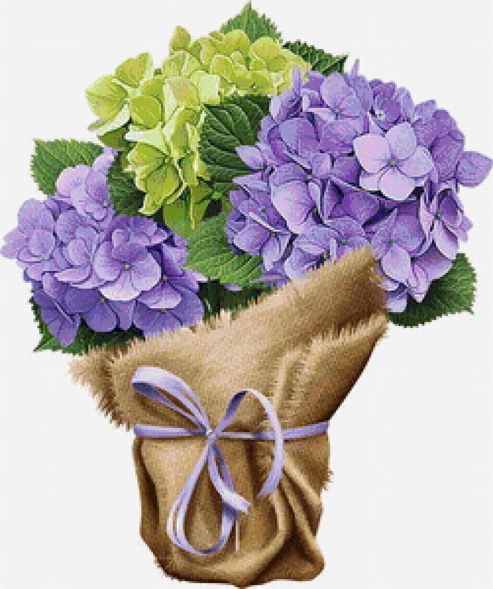 Букет гортензии - букет, цветы, гортензия - предпросмотр