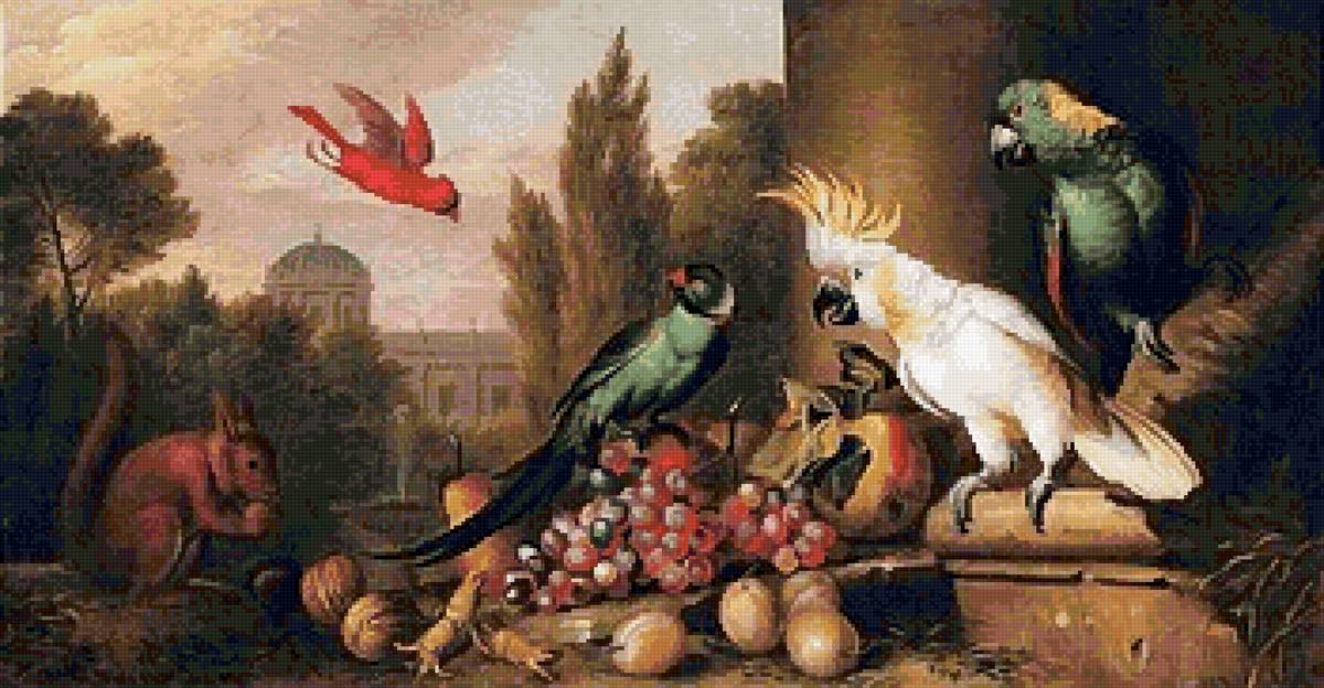 №2739619 - попугай, белка, натюрморт, птицы - предпросмотр