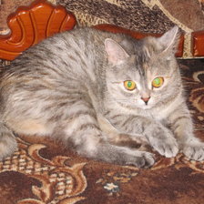 Схема вышивки «БЕТТИ 2»