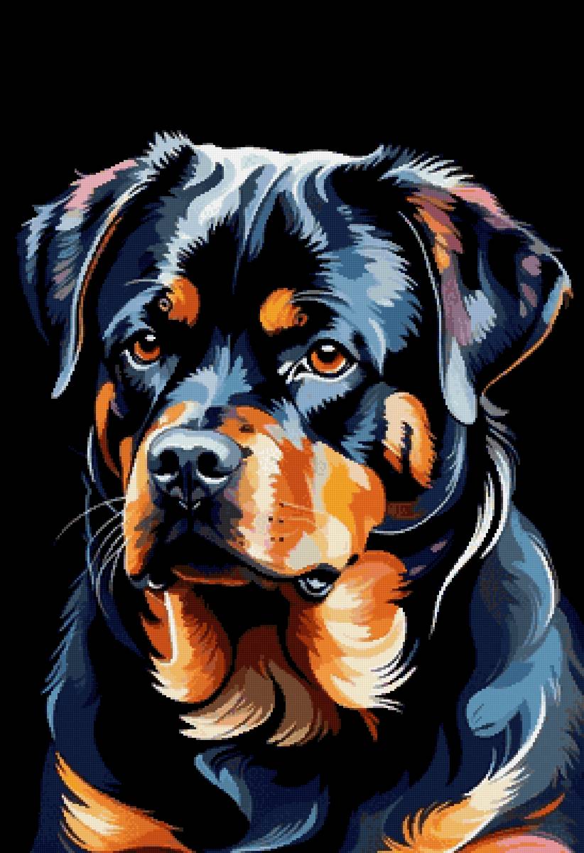 Ротти - животные, собака, собаки, ротвейлер - предпросмотр