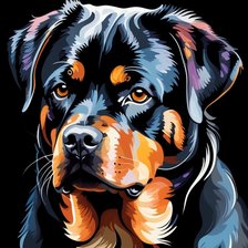 Схема вышивки «Ротти»