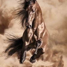 Схема вышивки «Лошадь 🐎»