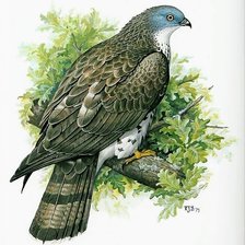 Схема вышивки «№2741769»