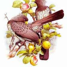 Схема вышивки «№2741770»