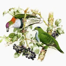 Схема вышивки «№2741839»