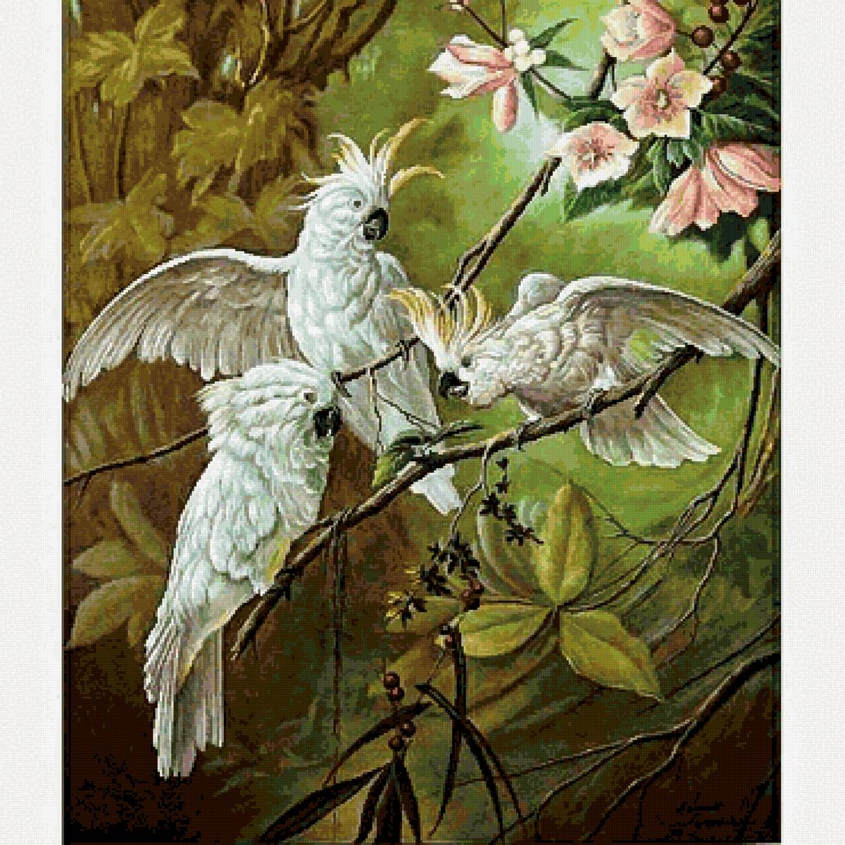 №2741890 - птицы, попугаи - предпросмотр