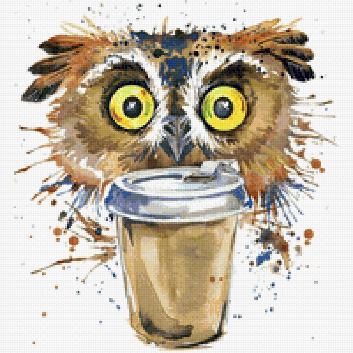 Сова бодрячком - предпросмотр