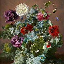 Схема вышивки «Маки. Адель Шустер»