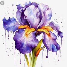 Схема вышивки «ирис акварель»