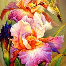 Схема вышивки «Калибри и ирисы»