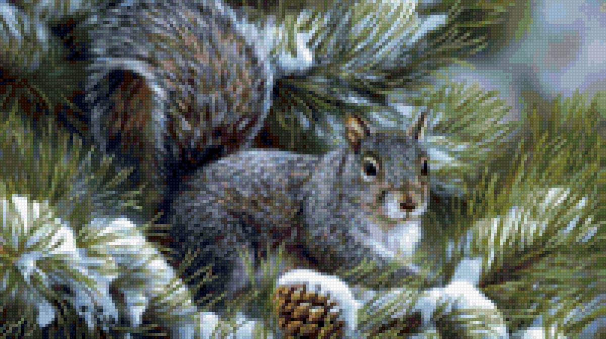 белка - белка - предпросмотр